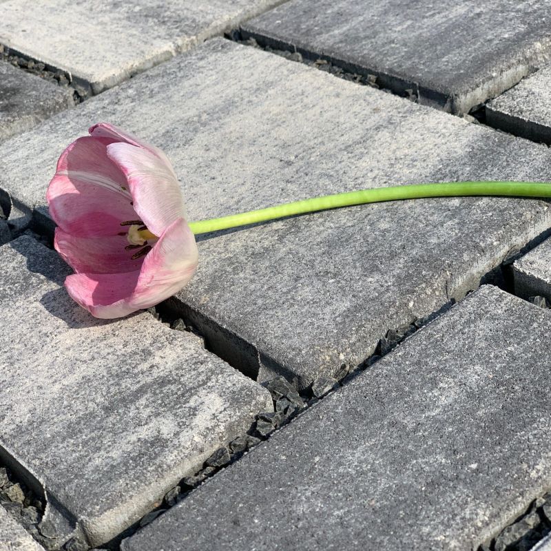 SEMMELROCK CityTop EKO KOMBI dlažba 6 cm - SEMMELROCK STEIN + DESIGN