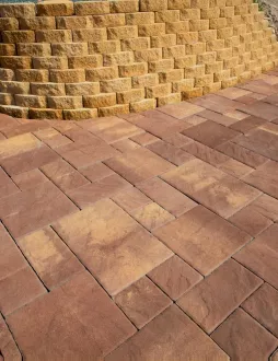 terra
